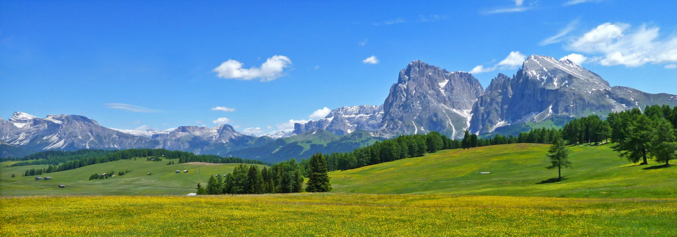 Sommer Sommer
