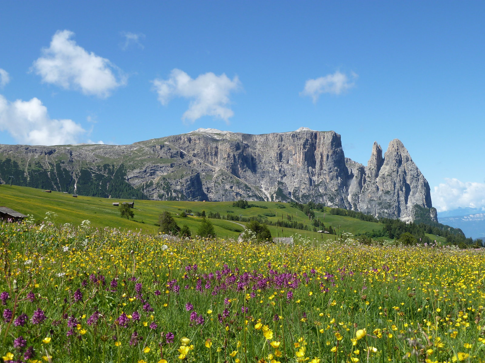Frühling auf der Seiser Alm - Seiser Alm - Dolomiten, Südtirol