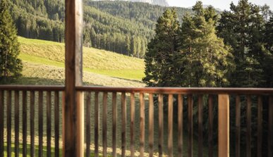 Hotel Chalet Tianes