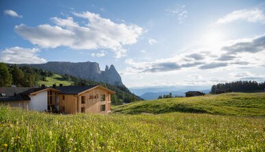 Hotel Seelaus