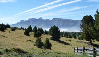 Alpe Di Siusi Seiser Alm Dolomites Italy Alpe Di - 